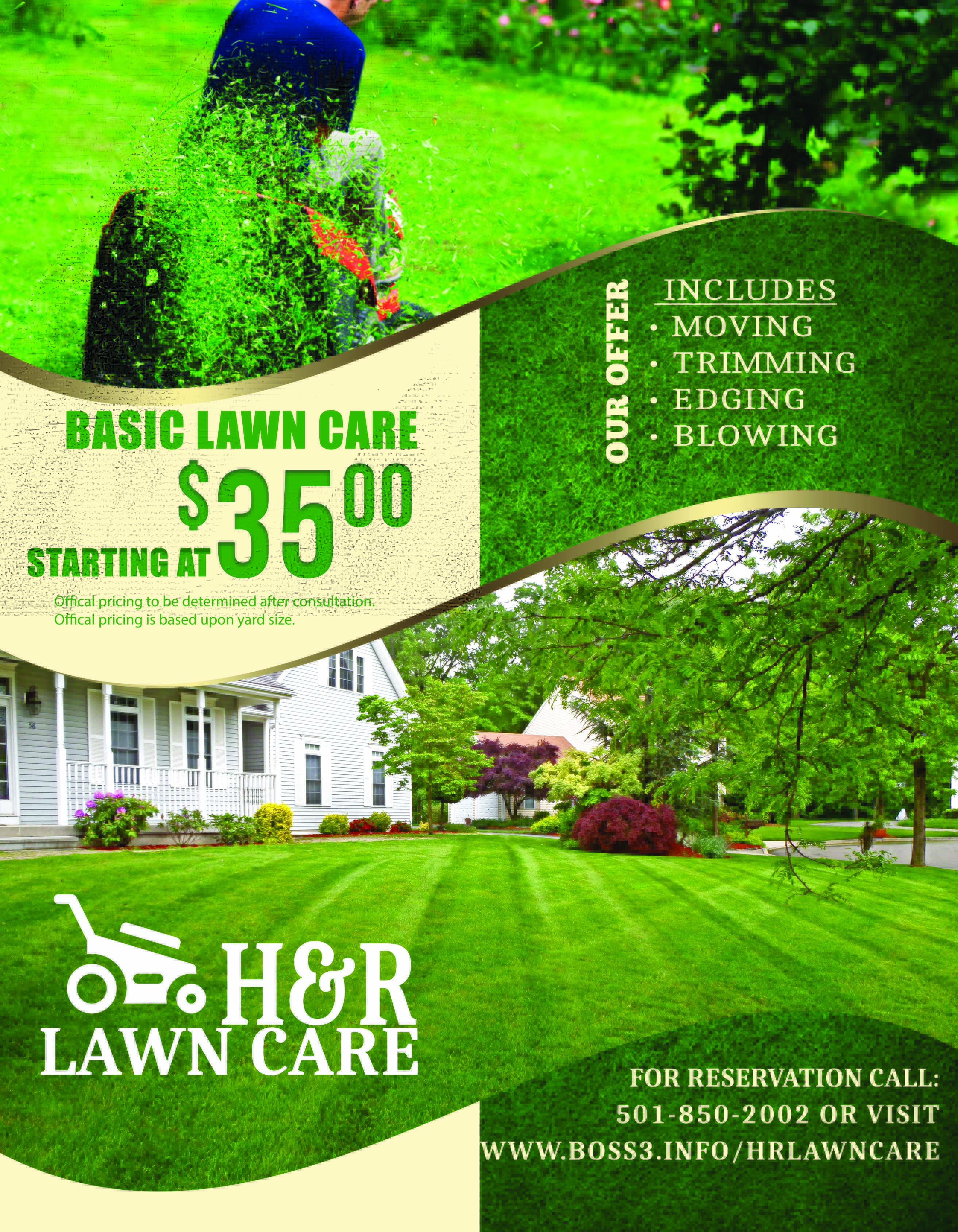 basic lawn care